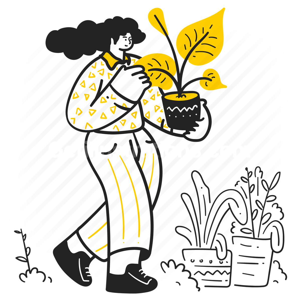 woman, gardening, plants, plant, pots, house plants